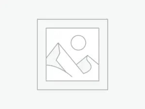 Заполнитель